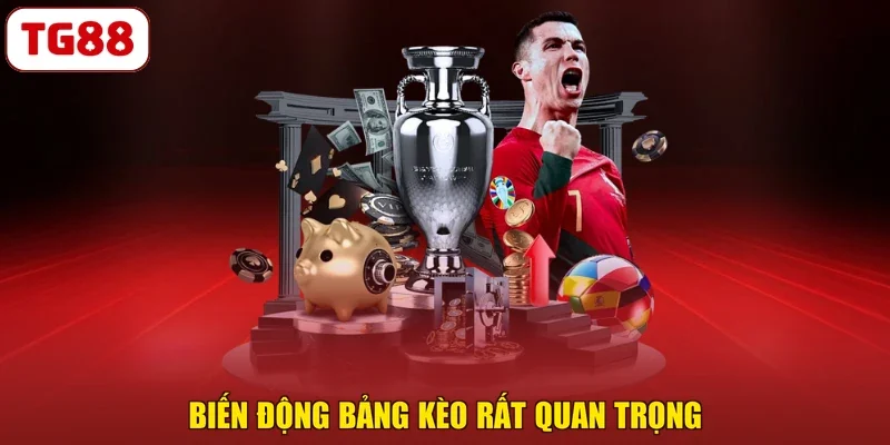 Biến động bảng kèo rất quan trọng