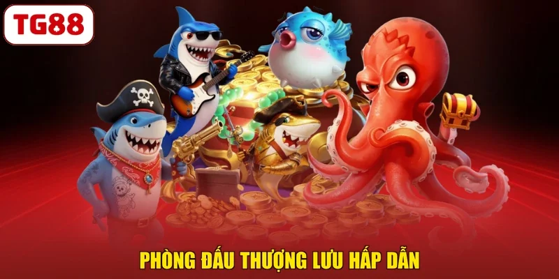 Phòng đấu thượng lưu hấp dẫn