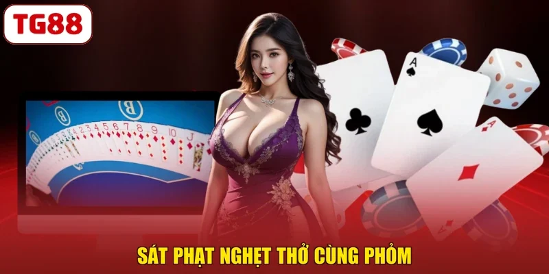 Sát phạt nghẹt thở cùng phỏm
